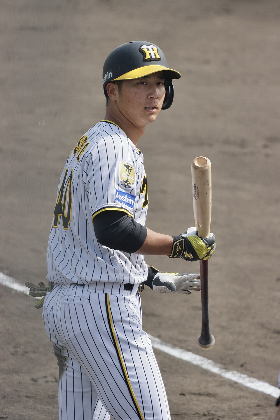 井坪陽生