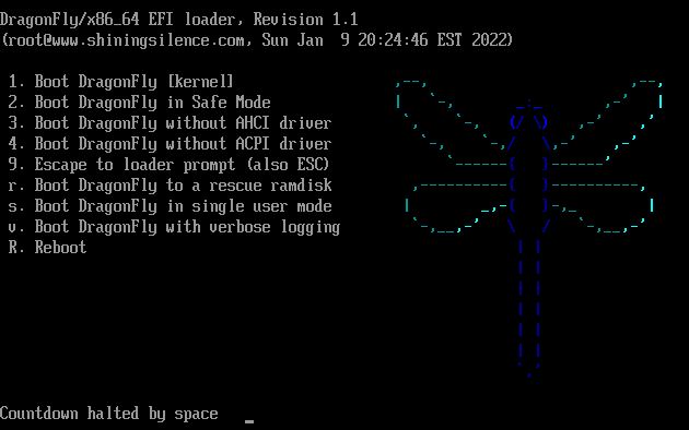 DragonFly BSD