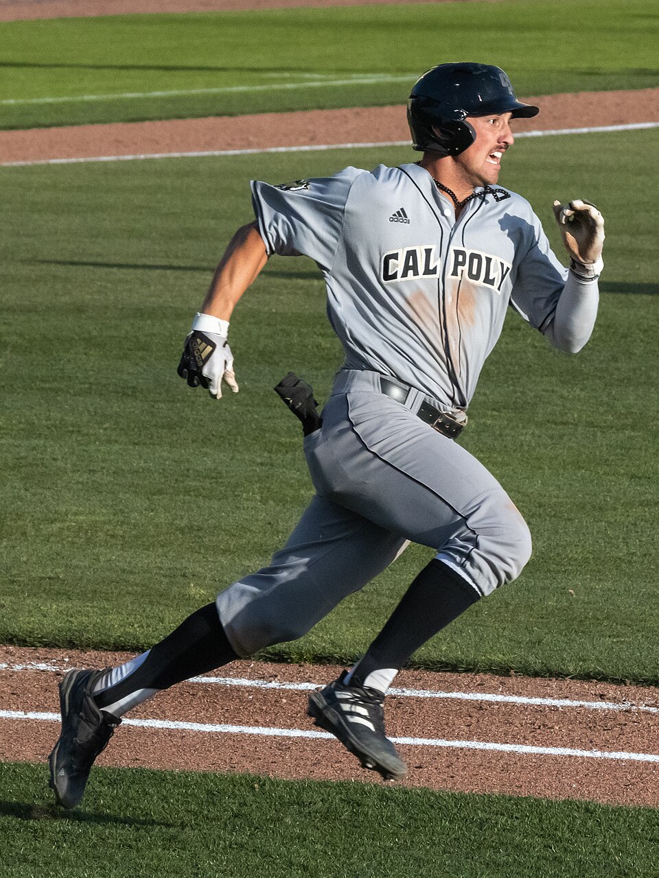 Cal_Poly_Mustangs