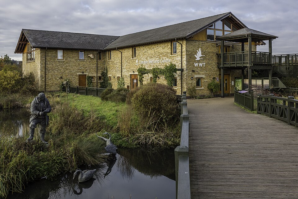 WWT_London_Wetland_Centre