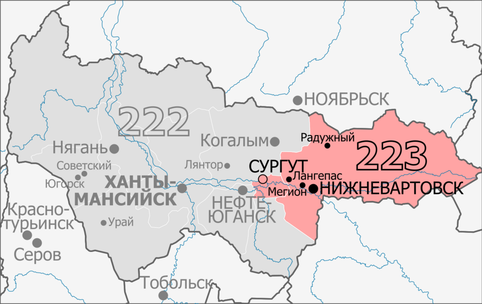 Nizhnevartovsk_constituency